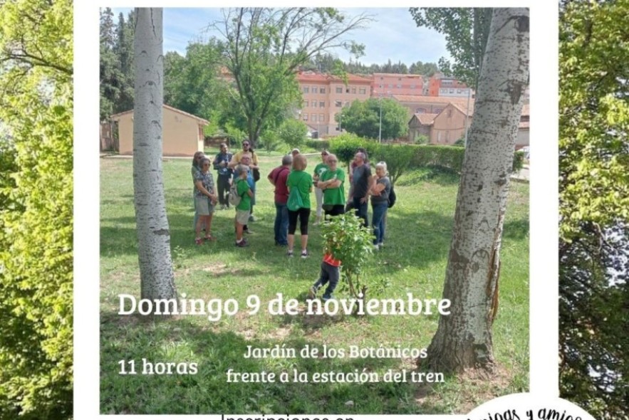 La Asociación Acacia anima a participar este domingo en una ruta de árboles singulares por Teruel