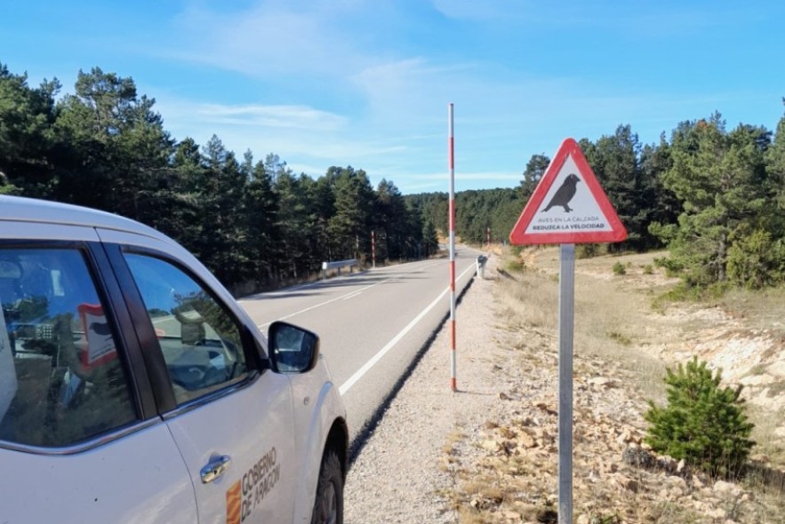 Unas nuevas señales de tráfico alertan del riesgo de atropello de aves en Valdelinares