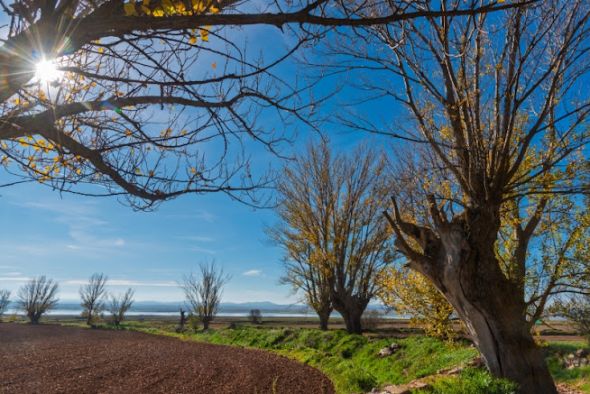 Luis Antonio Gil gana el  X Concurso Fotográfico  sobre el Chopo Cabecero
