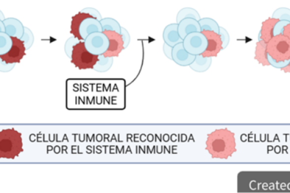 IET: La eterna persecución en busca de la cura del cáncer