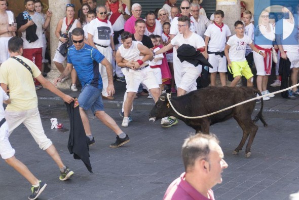 Galería de fotos: Los mejores momentos de los ensogados infantiles de la Vaquilla 2017