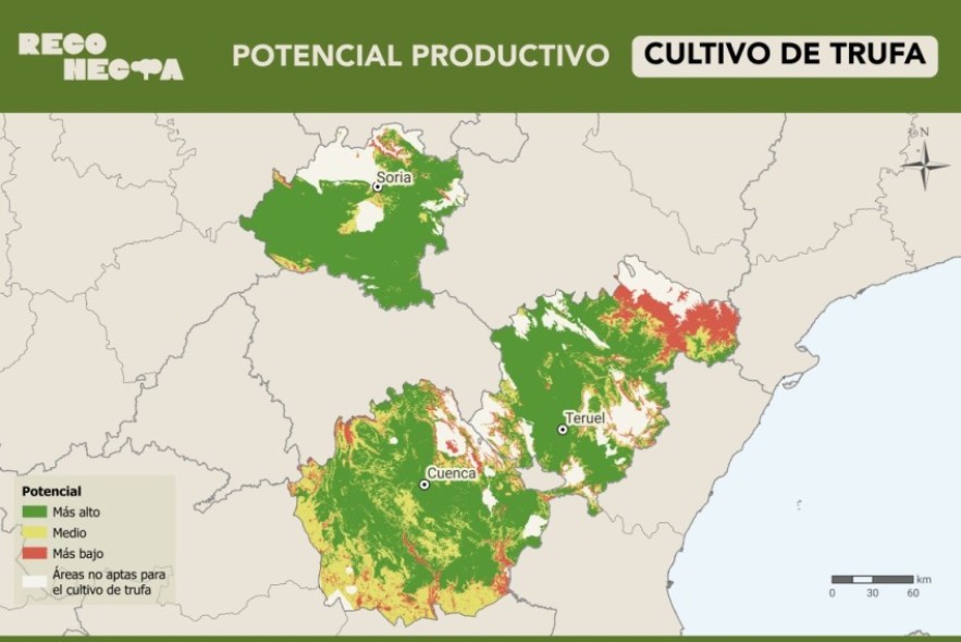 El CITA crea una herramienta que clasifica el potencial de los montes para bioeconomía