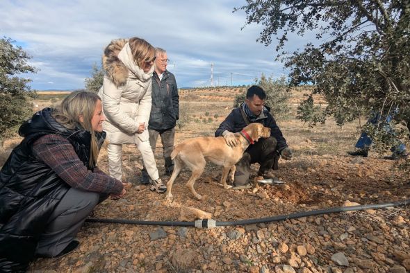 Cuéllar plantea que la IGP ayudará a mostrar el peso internacional de la trufa de Teruel