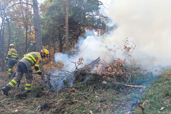 Las brigadas forestales de Infoar realizan labores preventivas en los Montes Universales