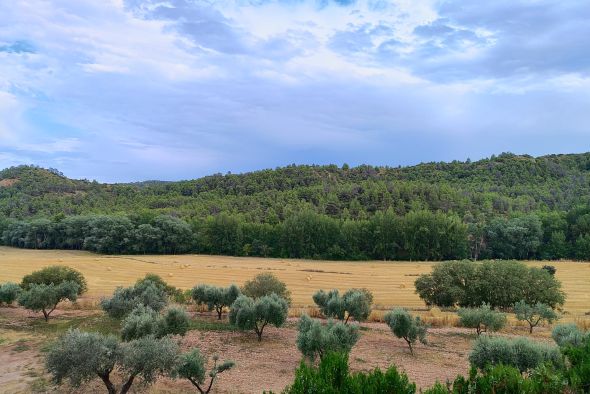 El CITA Teruel acoge el miércoles la jornada final del proyecto forestal Reconecta