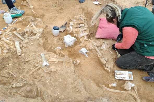 Las consecuencias de una terrible sequía de hace dos millones de años afloran en La Puebla de Valverde