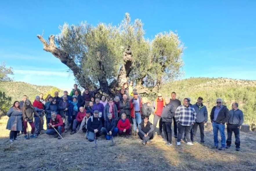 Tres propuestas turolenses entre los finalistas de los premios a la Mejor Experiencia Turística de Aragón