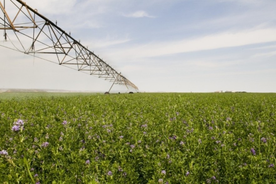 Agricultura publica una nueva orden para financiar con el Fite la modernización de explotaciones agrarias en la provincia de Teruel