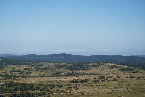 Paisajes de Teruel considera que la UCO avala las denuncias contra Forestalia