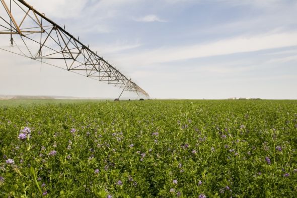 Agricultura amplía las ayudas a la modernización agraria con 500.000 euros