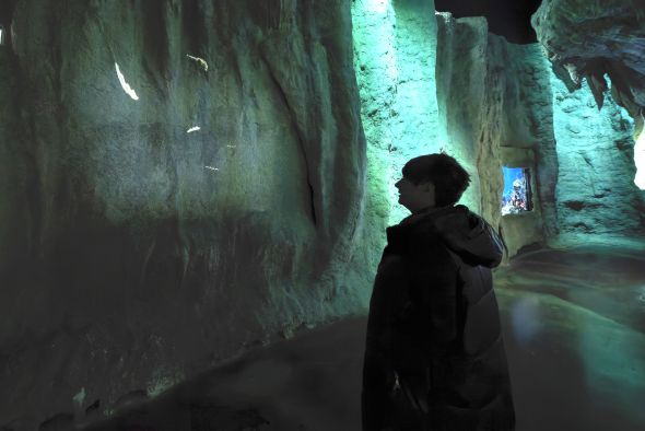 De gusanos a humanos, el fabuloso salto evolutivo de más de 500 millones de años