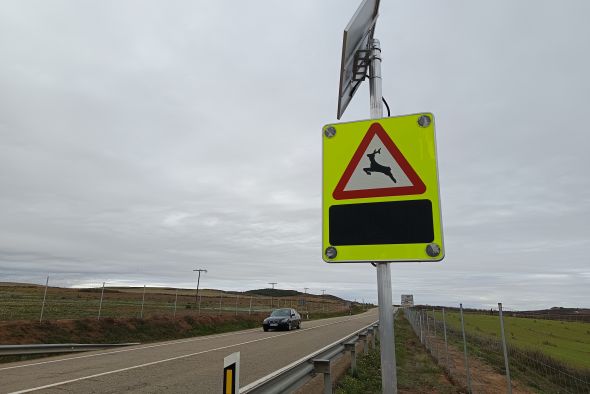 El Mitma instala un sistema de advertencia de fauna en la calzada a la altura de La Estanca