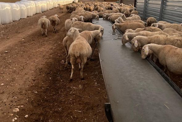 Termina el episodio de frío intenso dejando temperaturas de hasta -12,6 grados en Bello