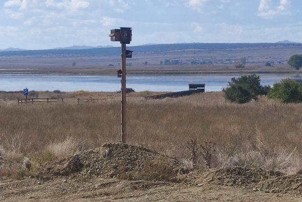 Concluye el plan en favor de los hábitats de aves en la Laguna de Gallocanta