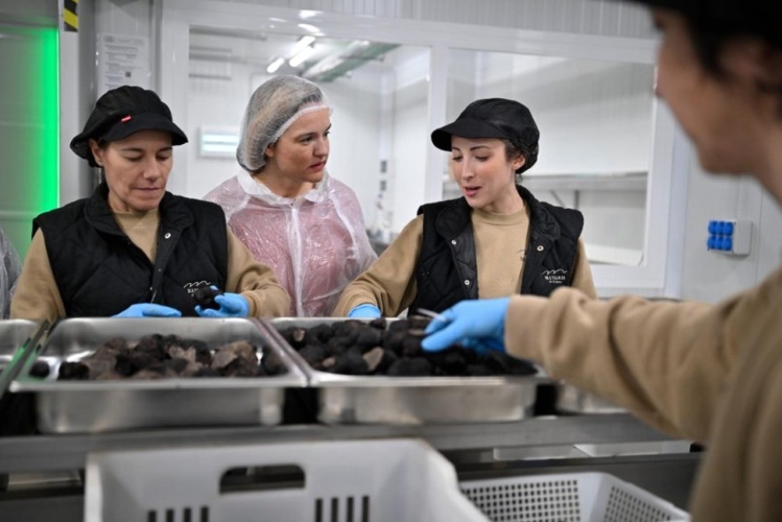 Alegría denuncia la “lamentable decisión” de Azcón de privatizar servicios del hospital Obispo Polanco