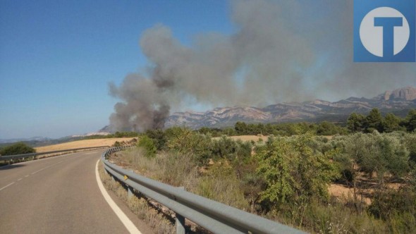 Más incendios pero menos hectáreas quemadas en los primeros siete meses del año