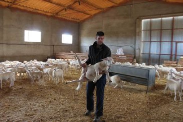 El relevo generacional llega al sector agrícola y ganadero en el Jiloca
