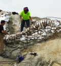 Recuperada en Camarillas una columna vertebral de más de cinco metros de un enorme dinosaurio de unos 145 millones de años de antigüedad