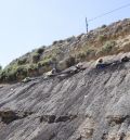 El yacimiento de ámbar de San Just arroja más “cápsulas del tiempo” atrapadas en resina