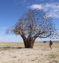 La sabina milenaria de Blancas, que opta a ser Árbol Europeo, tiene una réplica en hierro