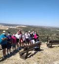 Más de mil personas han participado en las visitas estivales de la Sierra de Arcos