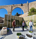 Teruel estrena su primer jardín vertical en el mirador de Los Arcos