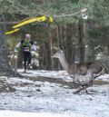 Javier Robres, intratable en la Berrea Trail Race de Orihuela