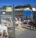 La Feria Captur de Calamocha se aplaza un mes y se celebrará los días 7 y 8 de mayo