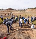 La asociación Acacia planta pinos y carrascas en terrenos del parque de las Arcillas de Teruel