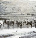 El ingeniero de Caminos Carlos Casas recopila en un libro la historia de la red de carreteras de Teruel