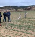 El PP exige soluciones para los agricultores afectados por los daños de los ciervos en la Sierra de Albarracín