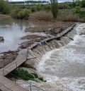 El grupo municipal del PAR en Alcañiz lamenta el estado de la ribera del Guadalope tras la última riada