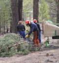 La Comunidad de Albarracín presenta un proyecto de revalorización de la biomasa forestal que afecta a 23 pueblos