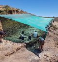 Una campaña paleontológica busca fósiles de félidos 'dientes de sable' en Teruel capital