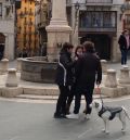 La ordenanza municipal de Teruel que regula la protección de los animales entrará en vigor el 20 de julio