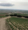 Celadas analiza el papel de sus bosques como sumideros de carbono