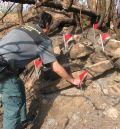 La Guardia Civil investiga a una persona como presunta autora del incendio que quemó 43 hectáreas en Calanda y Castelserás