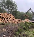 El Fondo de Inversiones de Teruel impulsa la mejora de la gestión forestal sostenible a través de una plataforma digital