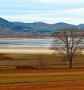 Salidas al campo, talleres y arte para recibir a las grullas en Gallocanta el 5 de noviembre