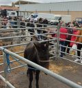 La Feria de Mora de Rubielos, una cita imprescindible con muchas actividades programadas