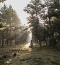 Beatriz Talabantes gana la segunda edición del Concurso de Fotografía del Parque del Chopo Cabecero