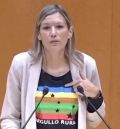 Egea reclama en el Senado reconocer el tren como un elemento vertebrador