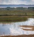 El Gobierno de Aragón invertirá más de 500.000 euros en la restauración y mejoras de hábitats de la Laguna del Cañizar