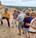 Alcañiz tramita el pago de la indemnización impuesta por el TSJA sobre el cerro Pui Pinos