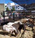 El calendario ferial de la provincia de Teruel incluye para este año 34 certámenes