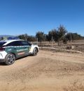 Detenido un hombre en Sarrión por robar trufas en dos plantaciones de la localidad