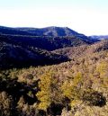 Luz verde del Inaga a los dos parques eólicos de Molinos, Castellote, Berge y Seno