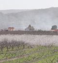 Calanda ofrece la floración de los melocotoneros como experiencia turística a finales de marzo