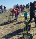 Andorra celebra el Día del Árbol con una plantada escolar y colectiva en San Macario