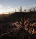 El fuerte viento y las altas temperaturas marcan este domingo el incendio de Castellón